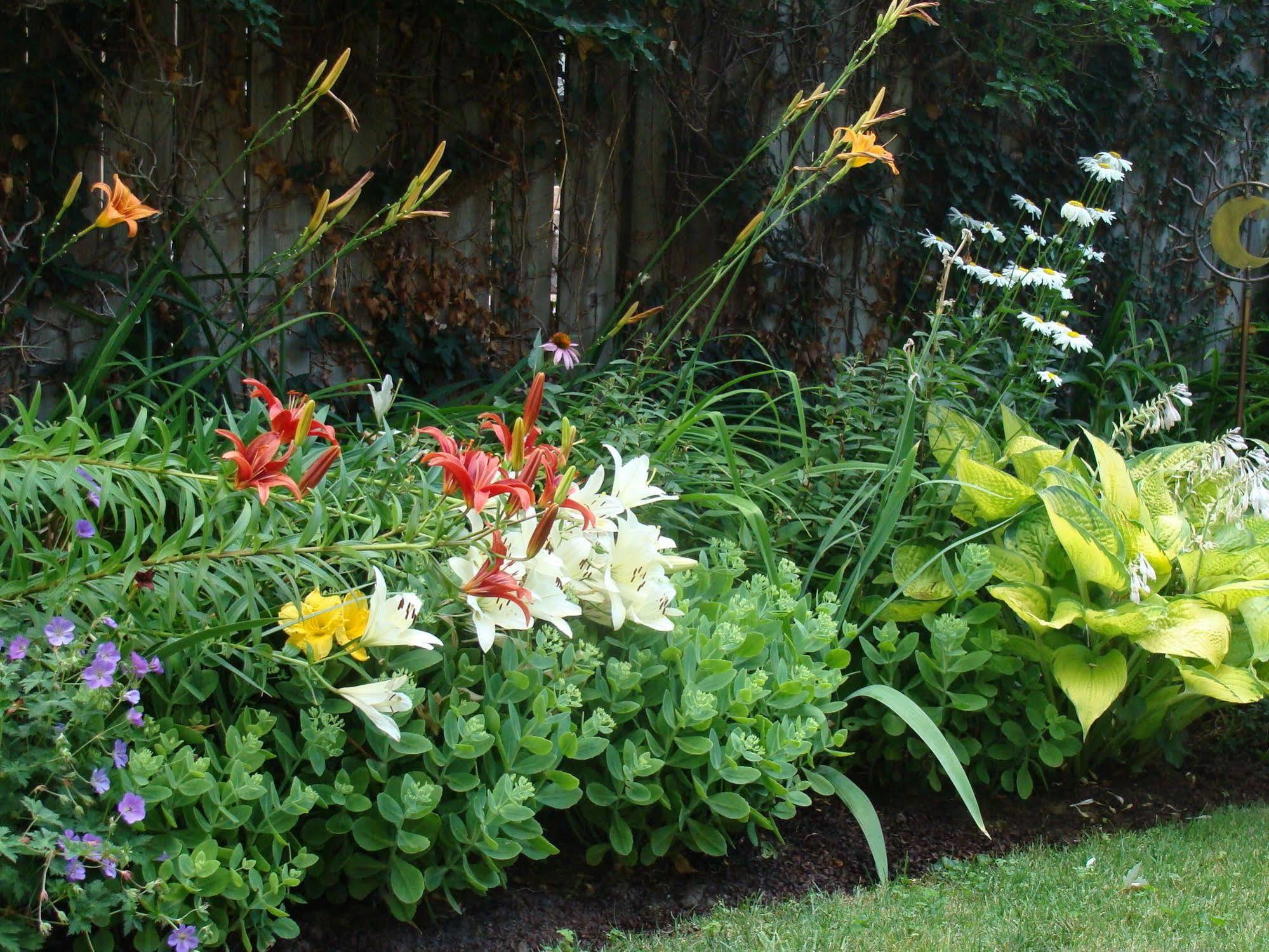 Robinsong Bed & Breakfast Thorold Exterior photo