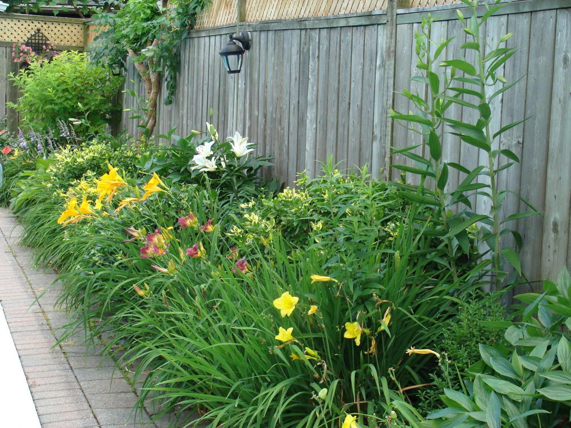 Robinsong Bed & Breakfast Thorold Exterior photo